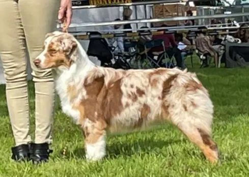 The indiana dream come true Of Luna's Farm